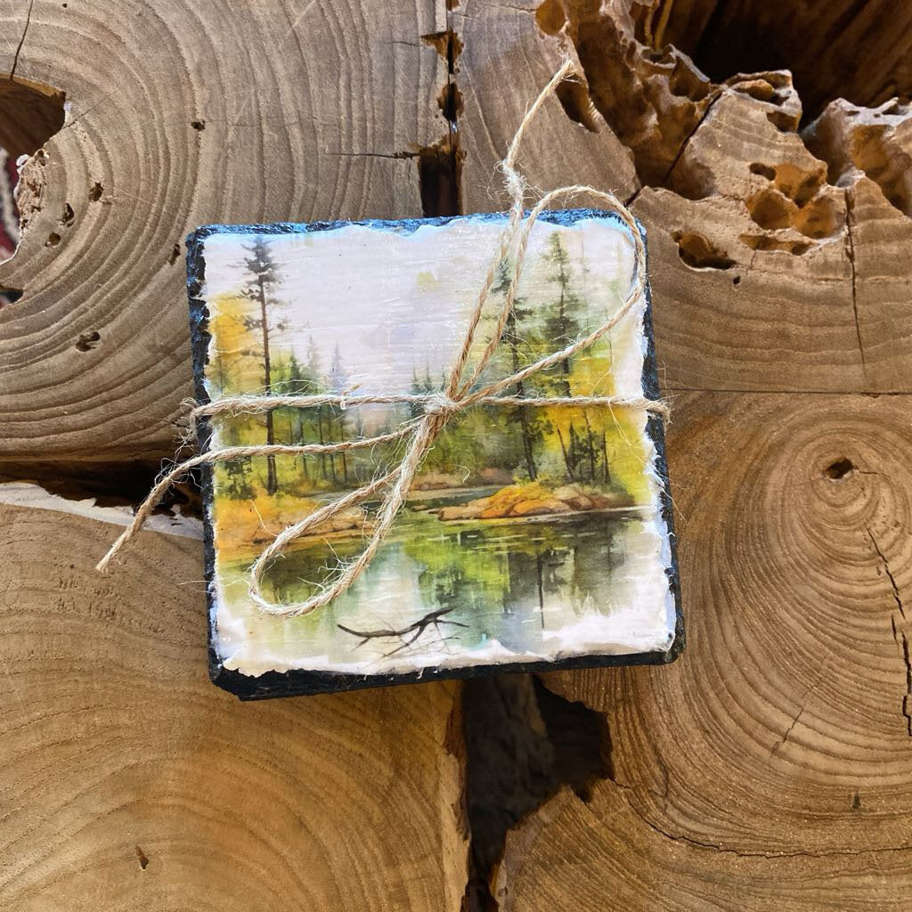 Forest Path Coasters - Set of 4