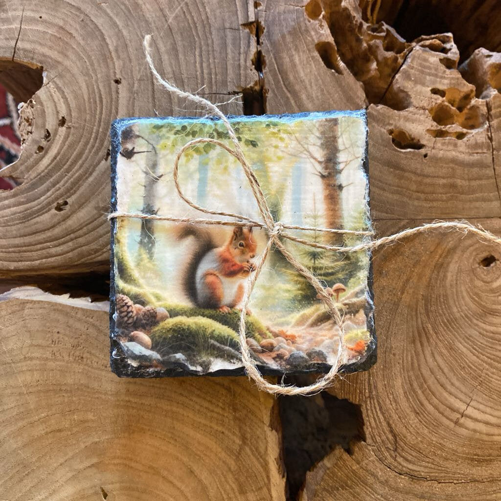 Squirrel Coasters - Set of 4