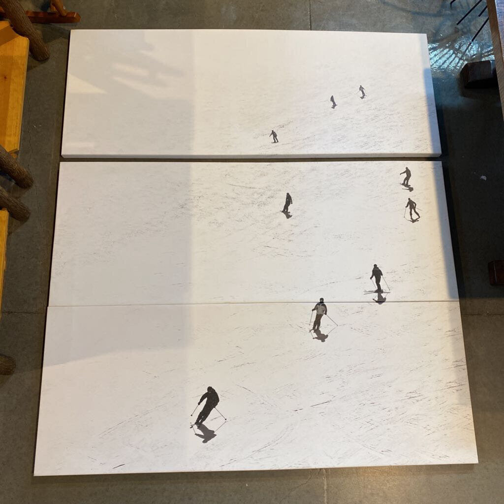 Ski Triptych Canvas