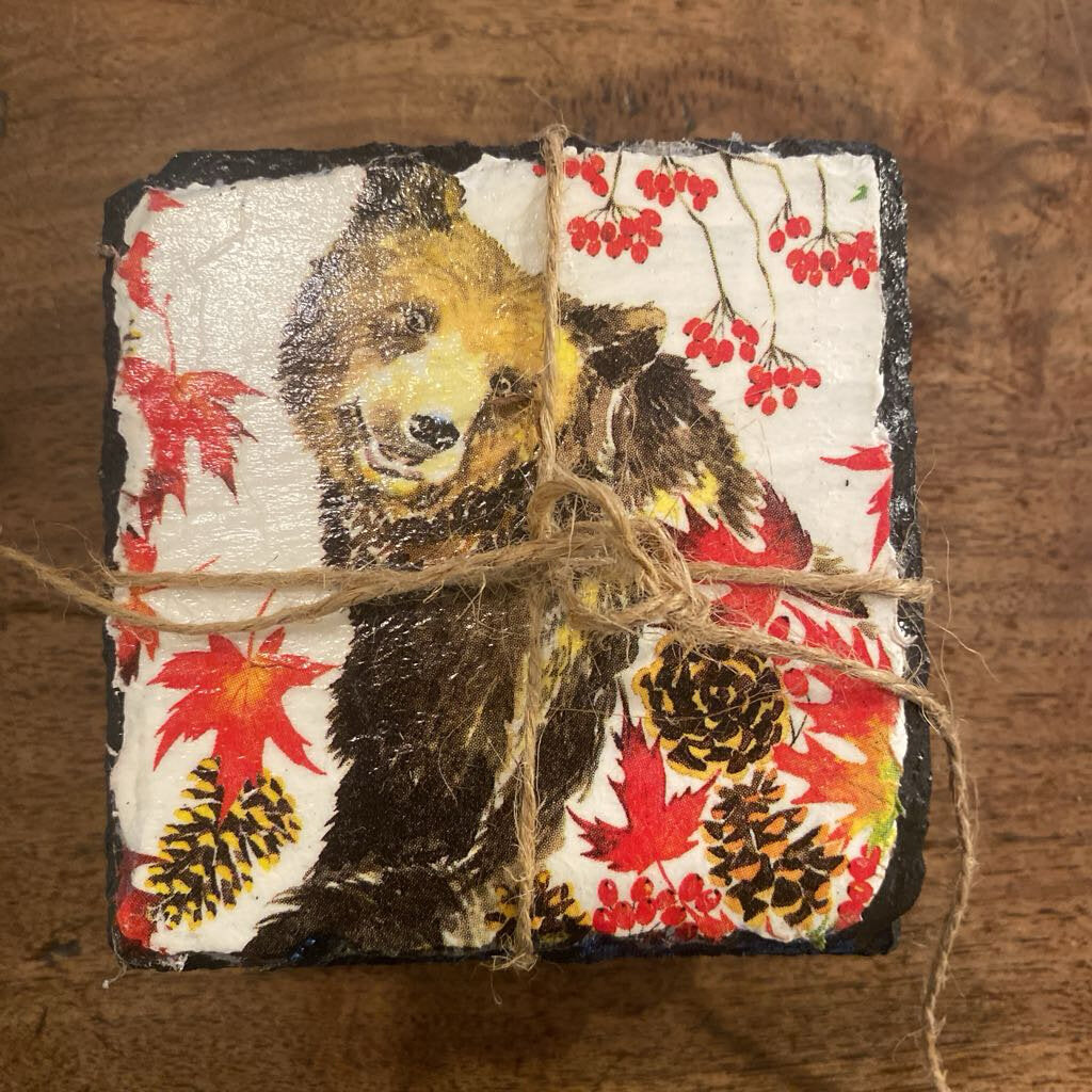 Fall Bear Coasters - Set Of 4