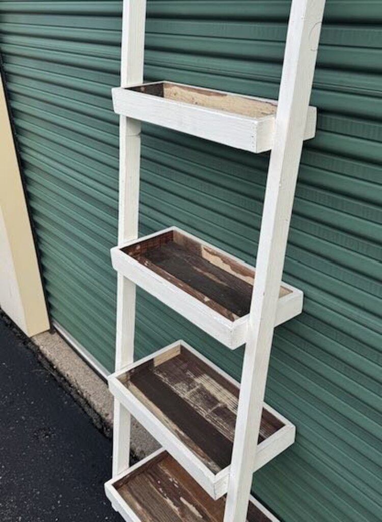 The Wooden Duck Ladder Shelf