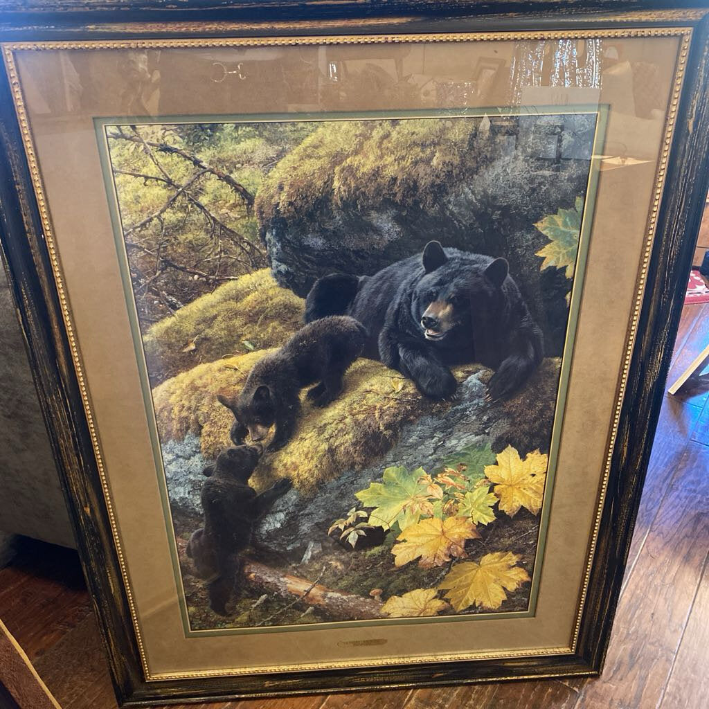 Nosing Around By Carl Brenders - Signed And Numbered