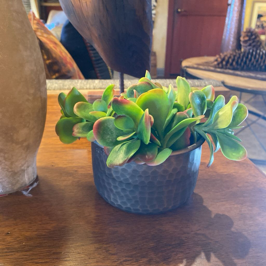 Faux Succelent