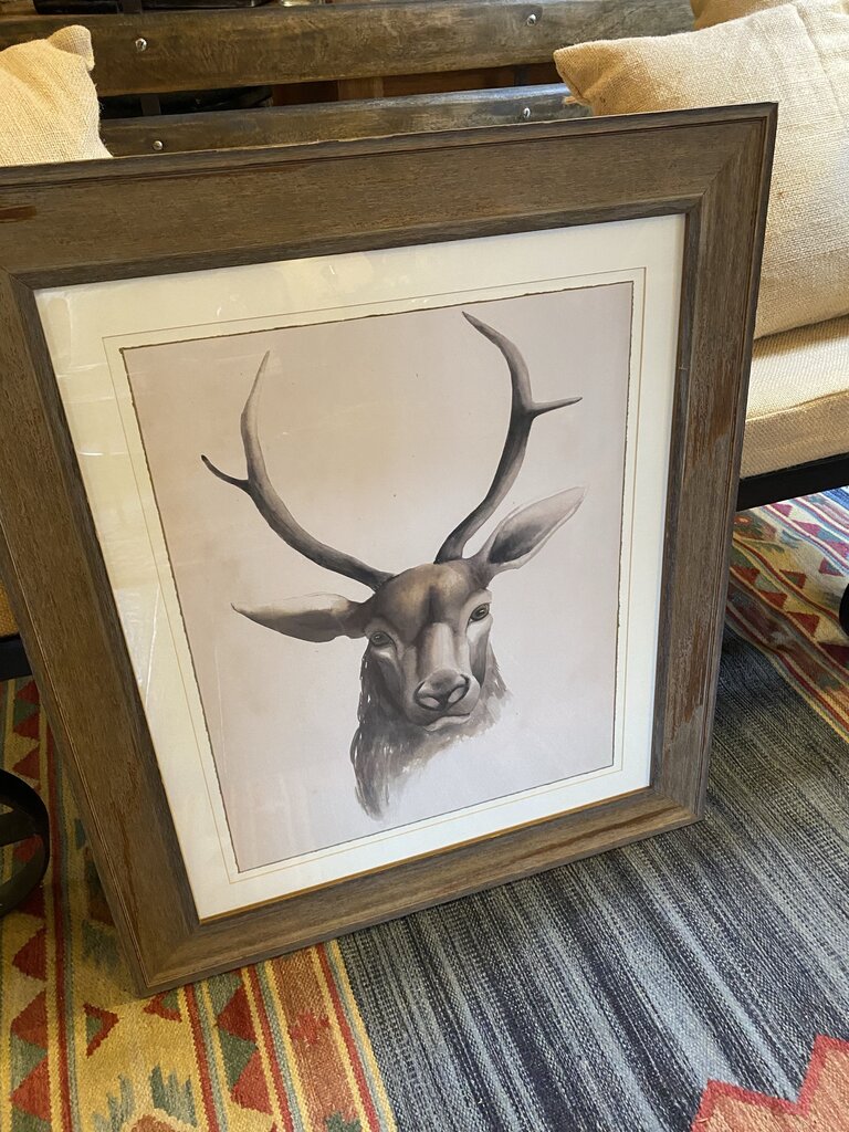 Stag Print - Set Of 2