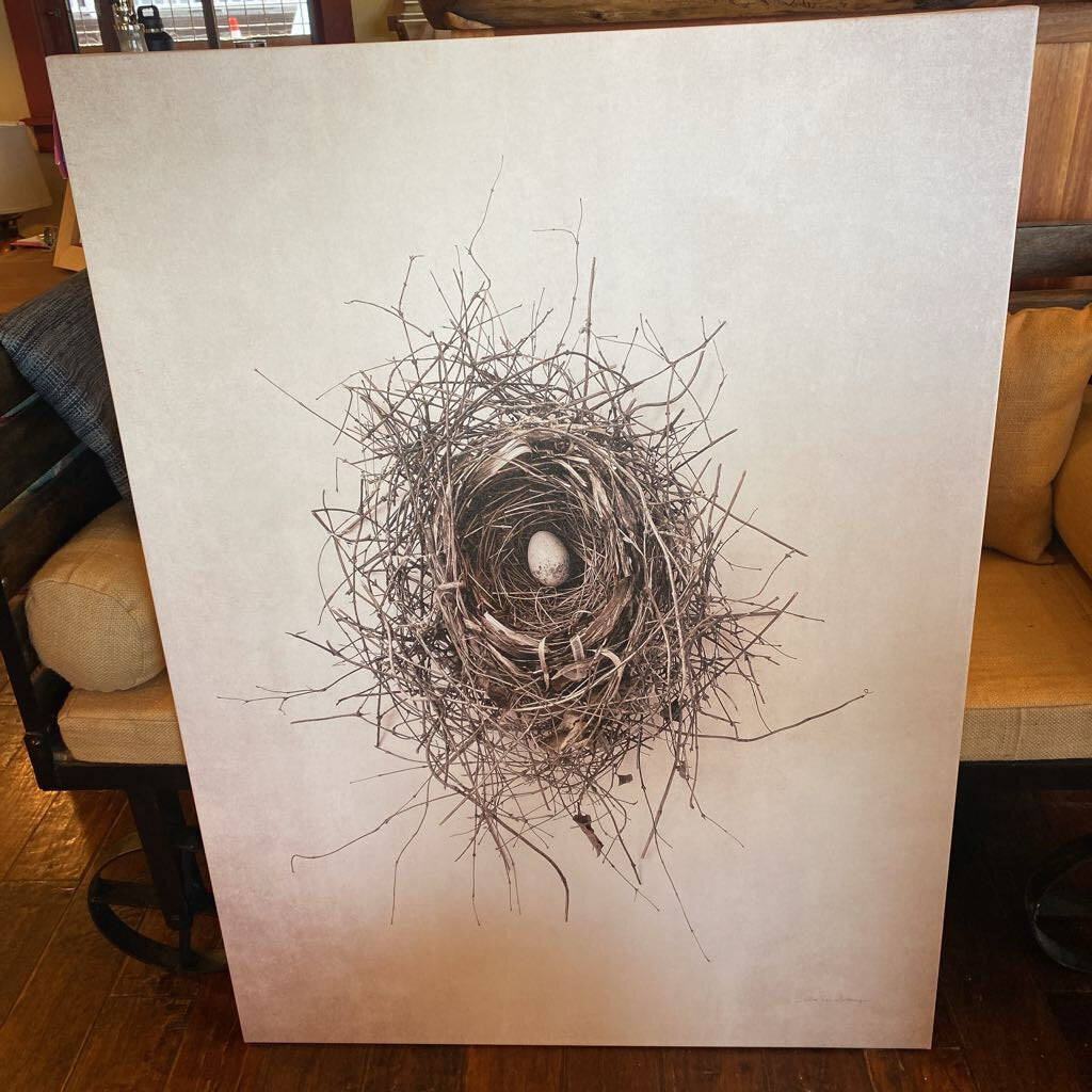 Bird Nest Art On Canvas