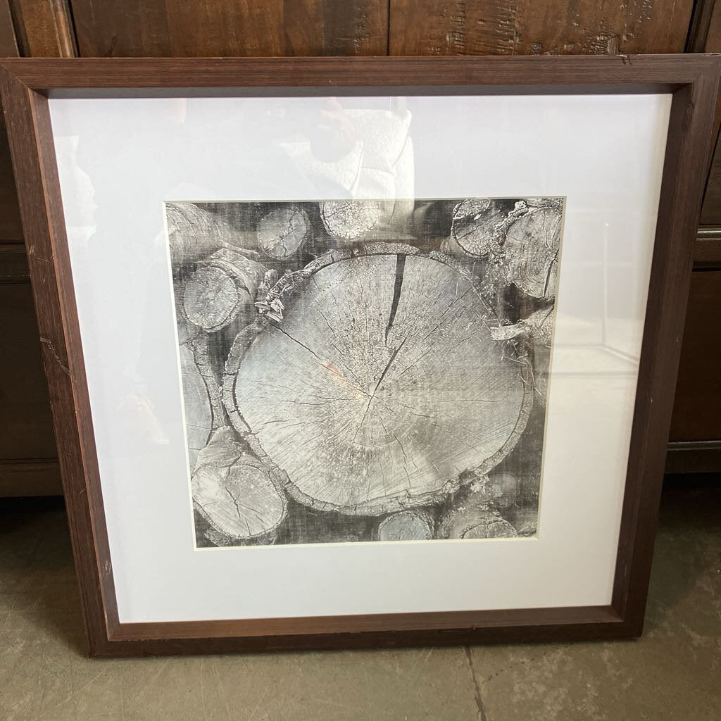 Black/ White Wood Slice Photo