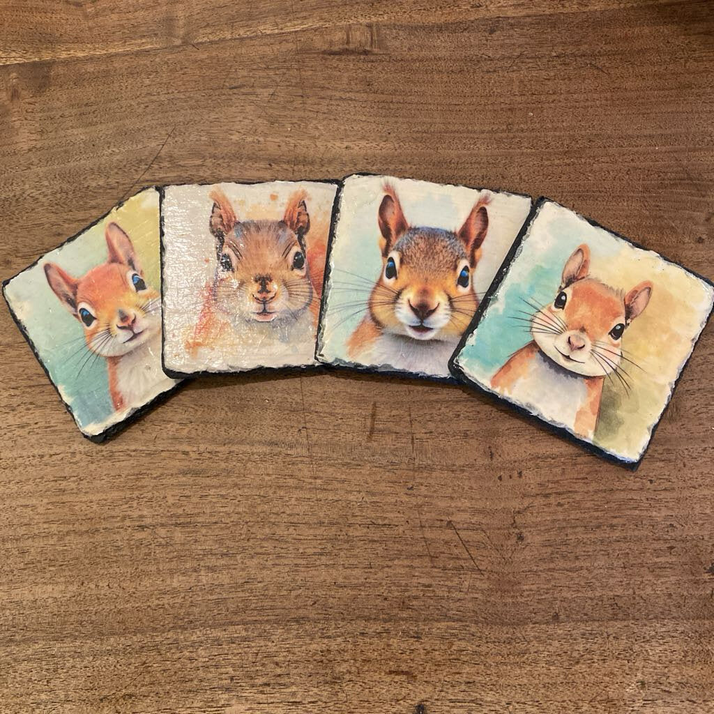 Squirrel Coasters - Set Of 4