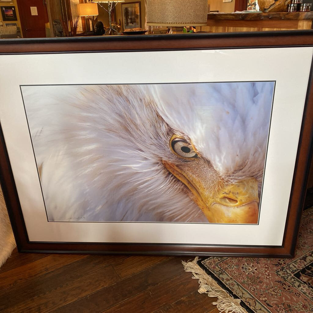 Dreamcatcher By Thomas Mangelsen - Limited Edition, Signed And Numbered