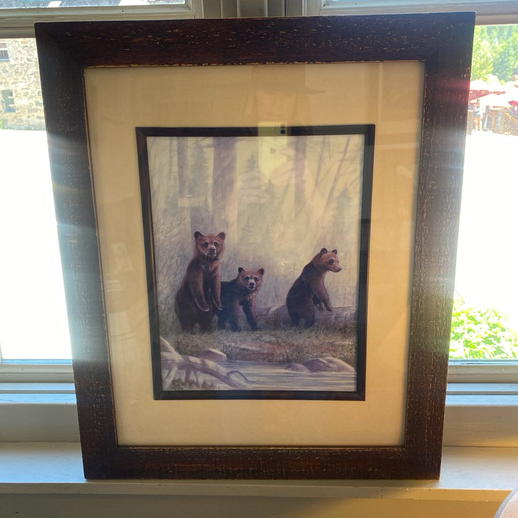 Grizzly Cubs By Anne Jenkins