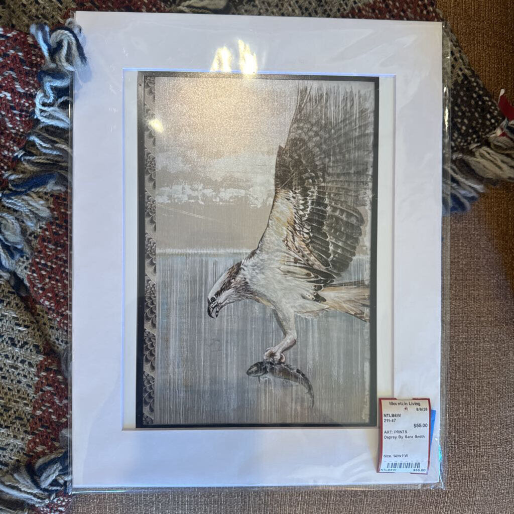 Osprey By Sara Smith