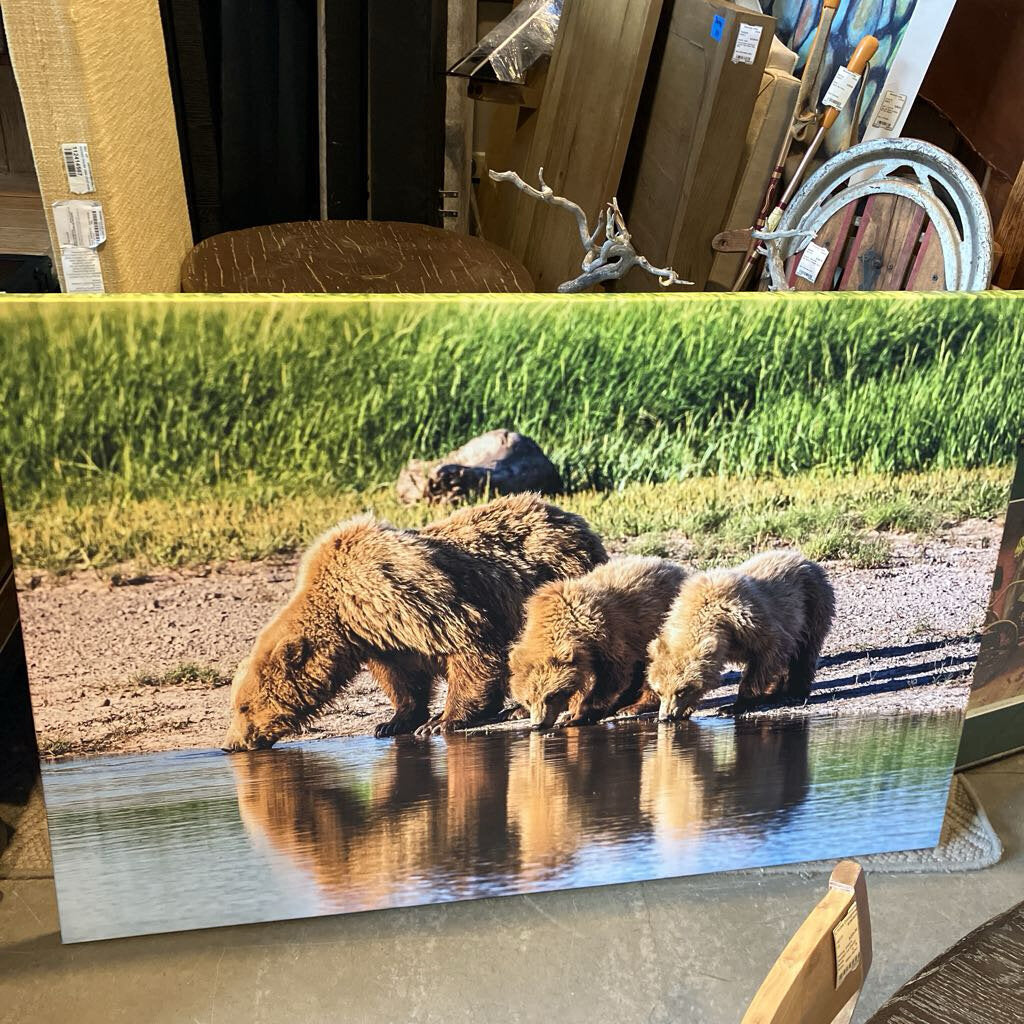 Alaskan Bear At Waters Edge On Canvas By Andrew Browning