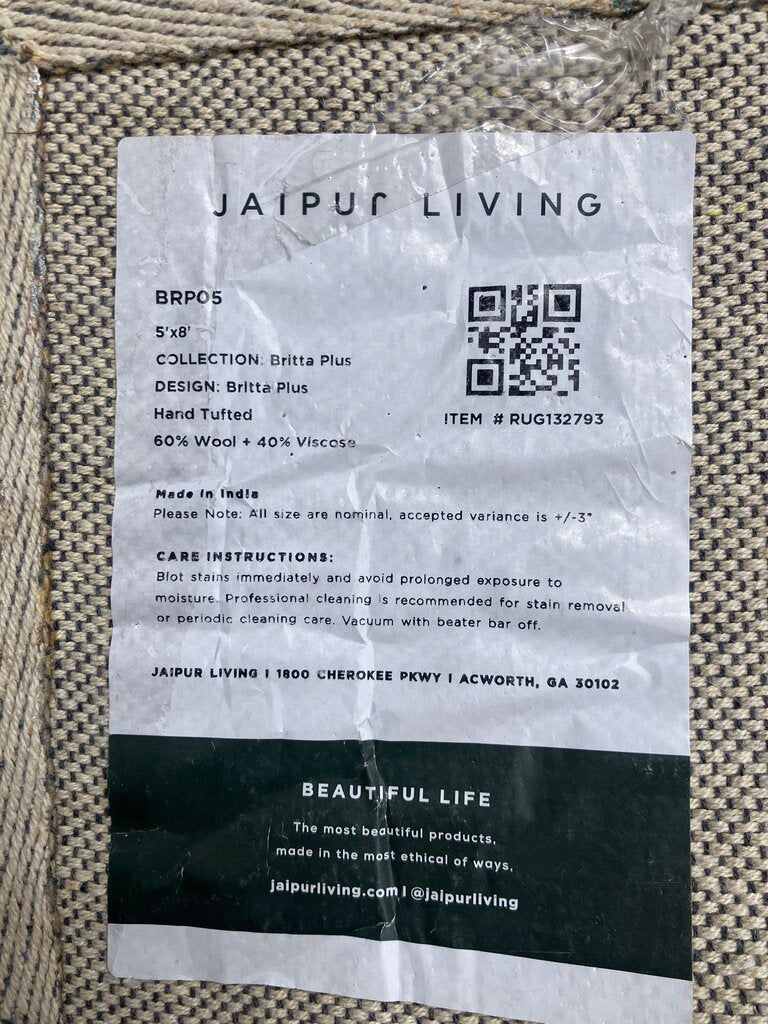 Jaipur Living Britta Plus 5x8 Rug