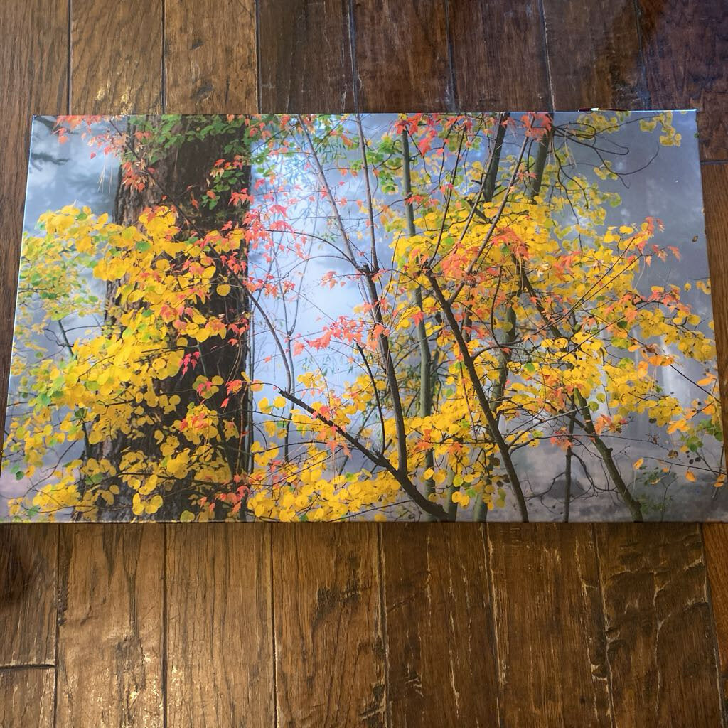 Autumn Leaves by Doug Jones