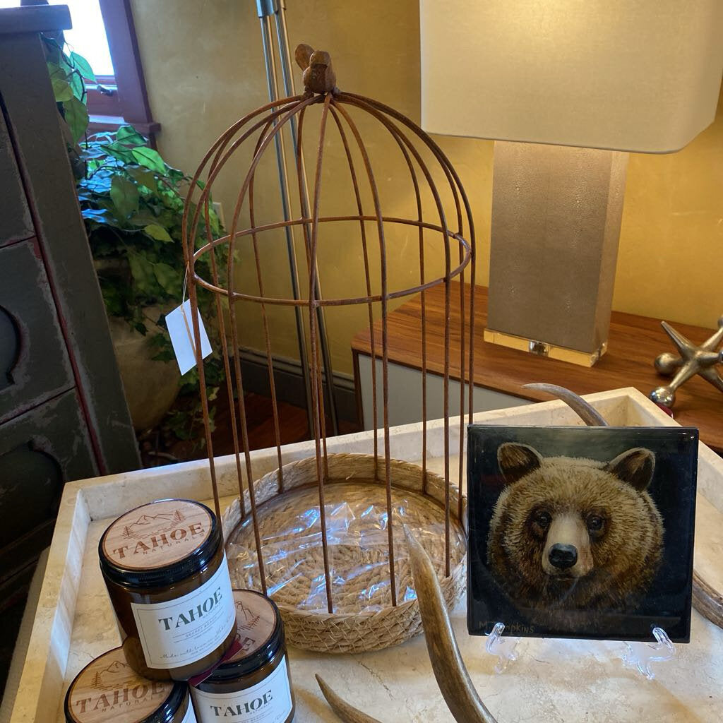 Metal Bird Cage Cloche - Large