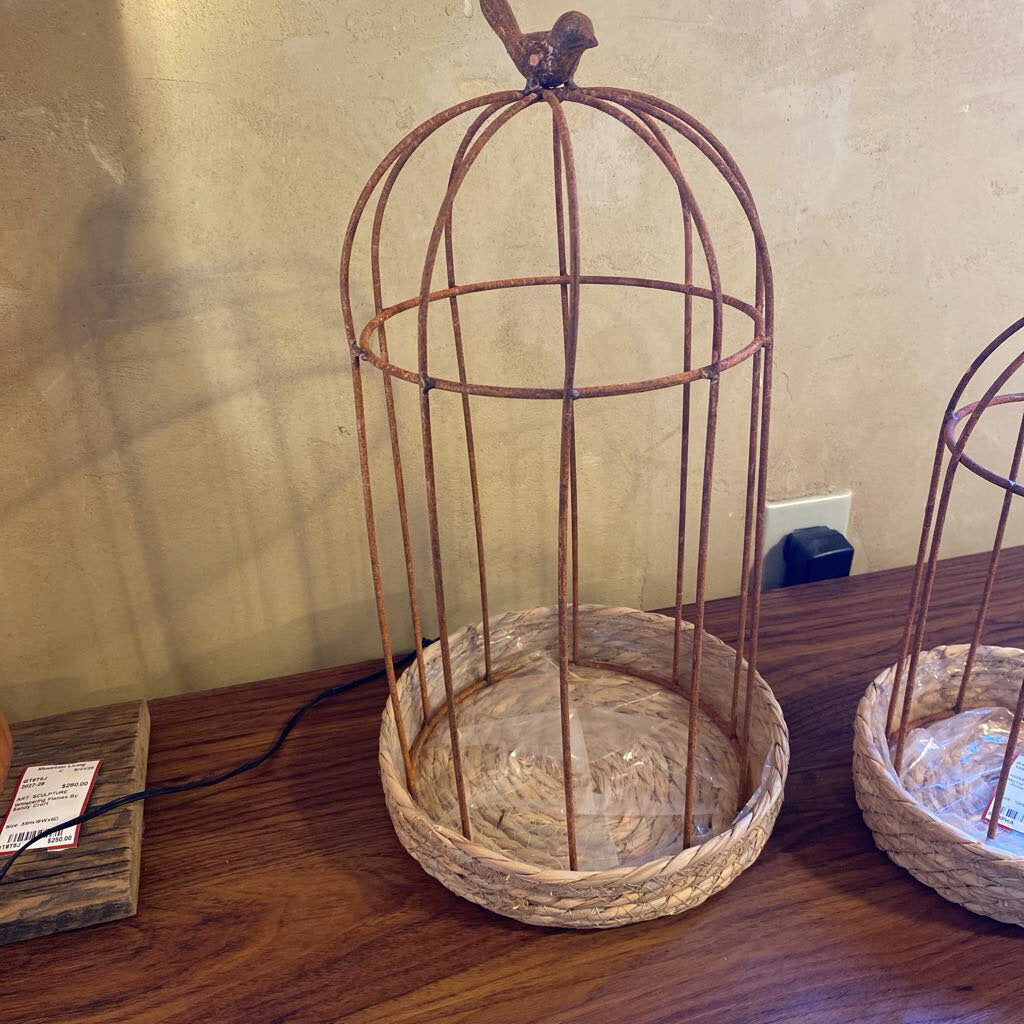 Metal Bird Cage Cloche - Medium