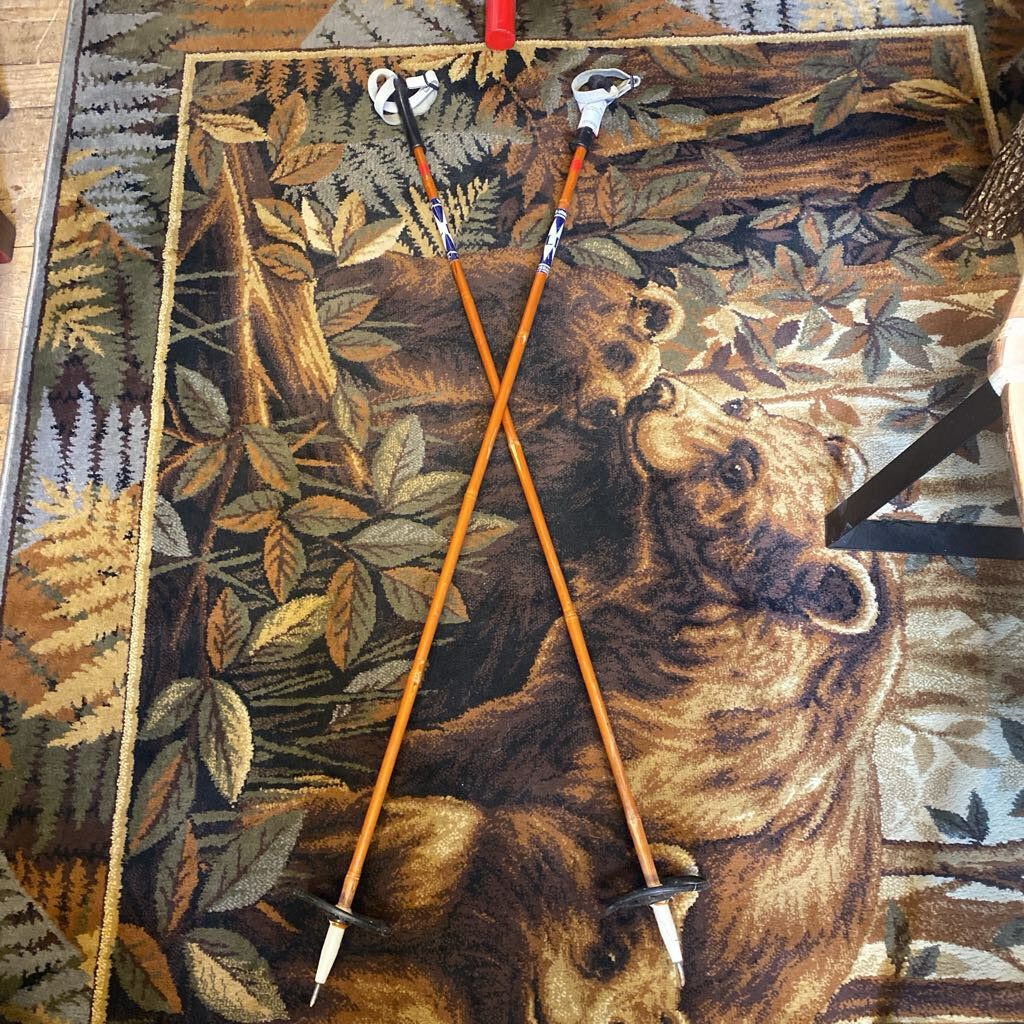 Vintage Ski Poles