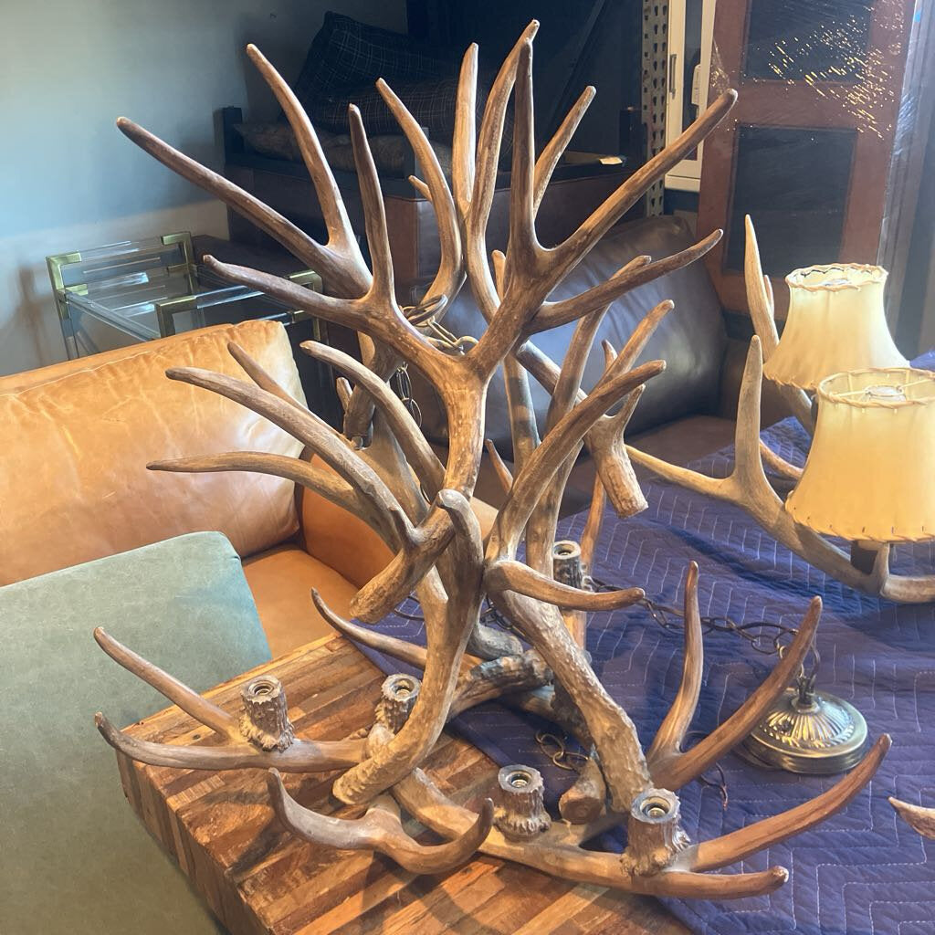 Faux Antler Chandelier