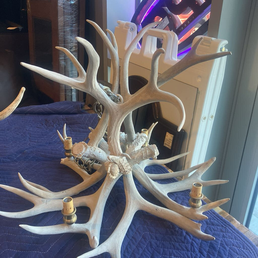 Real Antler Chandelier